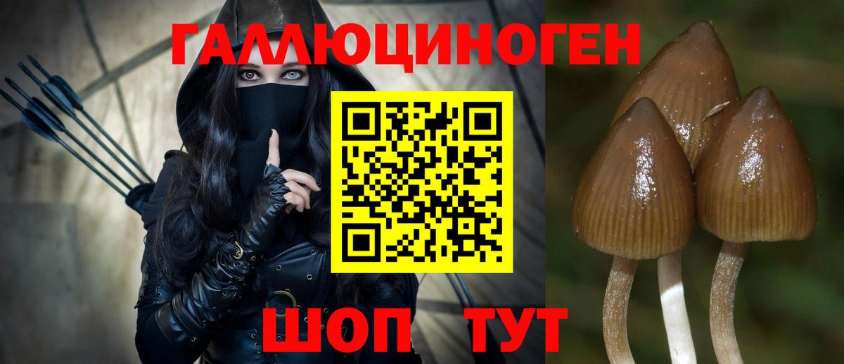 Псилоцибиновые грибы мухоморы Великие Луки